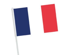 10 Papieren Zwaaivlaggetjes Frankrijk 16x9.5cm / 30cm Stok