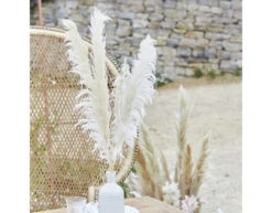 5 Stems Pampas Grass A Touch Of Pampas Dried And Bleached Length Appr. 90 Cm -Feestartikelen Winkel 5 stems pampas grass a touch of pampas dried and b 2
