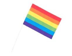 6 Papieren Zwaaivlaggen Regenboog 20x14cm / 40cm Stok