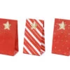 Adventkalender Tasjes Rood -Feestartikelen Winkel adventkalender tasjes rood