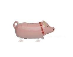 Airwalker Varken 61cm