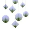 Backdrop Sage Dip Dye Honeycombs -Feestartikelen Winkel backdrop sage dip dye honeycombs
