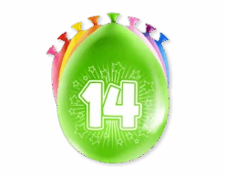 Ballonnen 14 Jaar Meerkleurig 30cm 8st