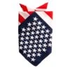 Bandana Usa 55cm -Feestartikelen Winkel bandana usa 55cm