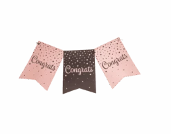 Banner Congrats Roze Zwart 6m