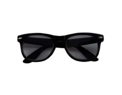 Blues Brother Bril -Feestartikelen Winkel blues brother bril 1