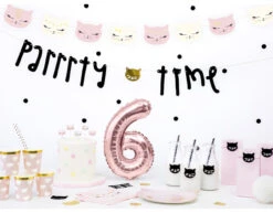 Borden Kat 22cm 6st -Feestartikelen Winkel borden kat 22cm 6st 4