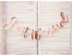 Bruiloft Slinger Just Married 77cm -Feestartikelen Winkel bruiloft slinger just married 77cm 2