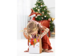 Cadeautas Hert 30cm -Feestartikelen Winkel cadeautas hert 30cm 3