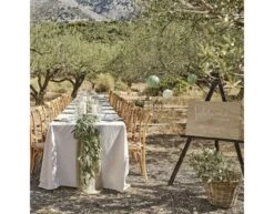 Confetti Tray Tray With Paper Cones -Feestartikelen Winkel confetti tray tray with paper cones 3