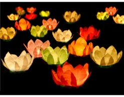 Drijvende Lantaarns Gekleurd 29cm 6st -Feestartikelen Winkel drijvende lantaarns gekleurd 29cm 6st 7