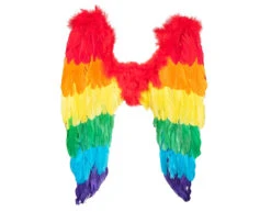 Engelen Vleugels Regenboog 50cm