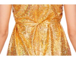 Festival Jurkje Goud Metallic -Feestartikelen Winkel festival jurkje goud metallic 4