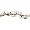 Foliage Garland Blossom White 1 Foliage Garland Blossom White -Feestartikelen Winkel foliage garland blossom white