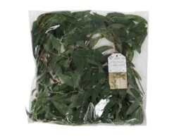 Foliage Garland Green Ruscus -Feestartikelen Winkel foliage garland green ruscus 2