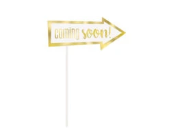 Foto Props Baby Shower Goud 10st -Feestartikelen Winkel foto props baby shower goud 10st 8