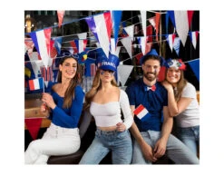 Franse Vlag Schmink Stick -Feestartikelen Winkel franse vlag schmink stick 3