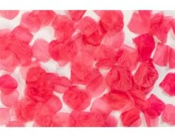 Fuchsia Rozenblaadjes 144st