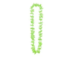 Gekleurde Hawaii Krans 25st -Feestartikelen Winkel gekleurde hawaii krans 25st 2