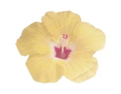 Gele Servetten Bloemen 16,5cm 16st