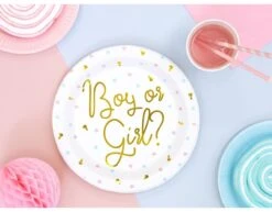 Gender Reveal Borden 23cm 6st -Feestartikelen Winkel gender reveal borden 23cm 6st 1
