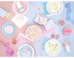 Gender Reveal Borden 23cm 6st -Feestartikelen Winkel gender reveal borden 23cm 6st 2