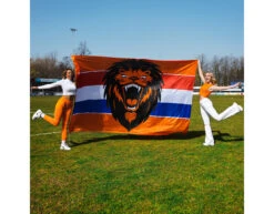 Gevelvlag Brullende Leeuw Xxl 3m -Feestartikelen Winkel gevelvlag brullende leeuw xxl 3m 2