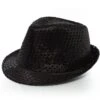 Glitter Hoed Zwart -Feestartikelen Winkel glitter hoed zwart