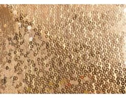 Gouden Feestjurk Pailletten -Feestartikelen Winkel gouden feestjurk pailletten 3