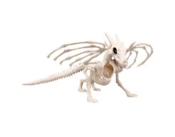 Halloween Drakenskelet 37cm