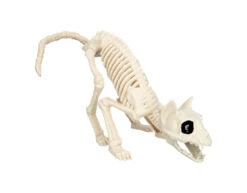 Halloween Kattenskelet 51cm