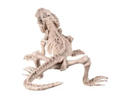 Halloween Krokodil Skelet 50cm -Feestartikelen Winkel halloween krokodil skelet 50cm 1