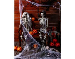 Halloween Pop Skelet 160cm -Feestartikelen Winkel halloween pop skelet 160cm 2