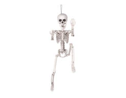 Halloween Pop Skelet Beweegbaar 60cm -Feestartikelen Winkel halloween pop skelet beweegbaar 60cm 3