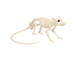 Halloween Ratskelet 46cm -Feestartikelen Winkel halloween ratskelet 46cm 1