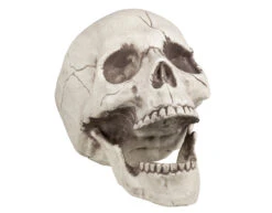 Halloween Schedel Beweegbare Kaak 21cm -Feestartikelen Winkel halloween schedel beweegbare kaak 21cm 1