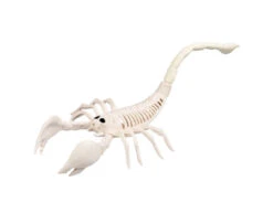 Halloween Schorpioenenskelet 31cm