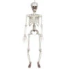 Halloween Skelet Wit 90cm -Feestartikelen Winkel halloween skelet wit 90cm