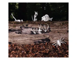 Halloween Vleermuizenskelet 30cm -Feestartikelen Winkel halloween vleermuizenskelet 30cm 1