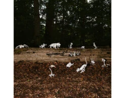 Halloween Vleermuizenskelet 30cm -Feestartikelen Winkel halloween vleermuizenskelet 30cm 2