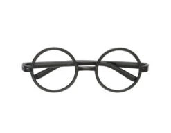 Harry Potter Brillen 4st