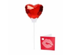 Hartjes Ballon Mini 15cm Met Kaartje