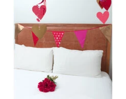 Hartjes Vlaggenlijn 6m -Feestartikelen Winkel hartjes vlaggenlijn 6m 7