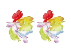 Hawaii Krans Set Deluxe 4 Delig -Feestartikelen Winkel hawaii krans set deluxe 4 delig 4