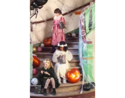 Helium Ballon Pompoen Leeg 40cm -Feestartikelen Winkel helium ballon pompoen leeg 40cm 2