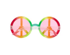 Hippie Kostuum Set 2 Delig -Feestartikelen Winkel hippie kostuum set 2 delig 6