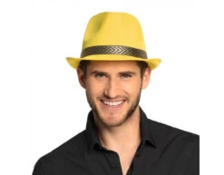 Hoed Geel