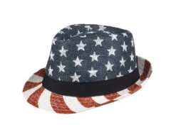 Hoed Usa -Feestartikelen Winkel hoed usa 1