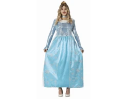 Ijsprinses Kostuum