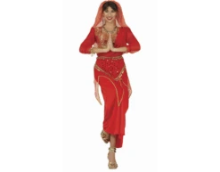 Indiase Kostuum Dames